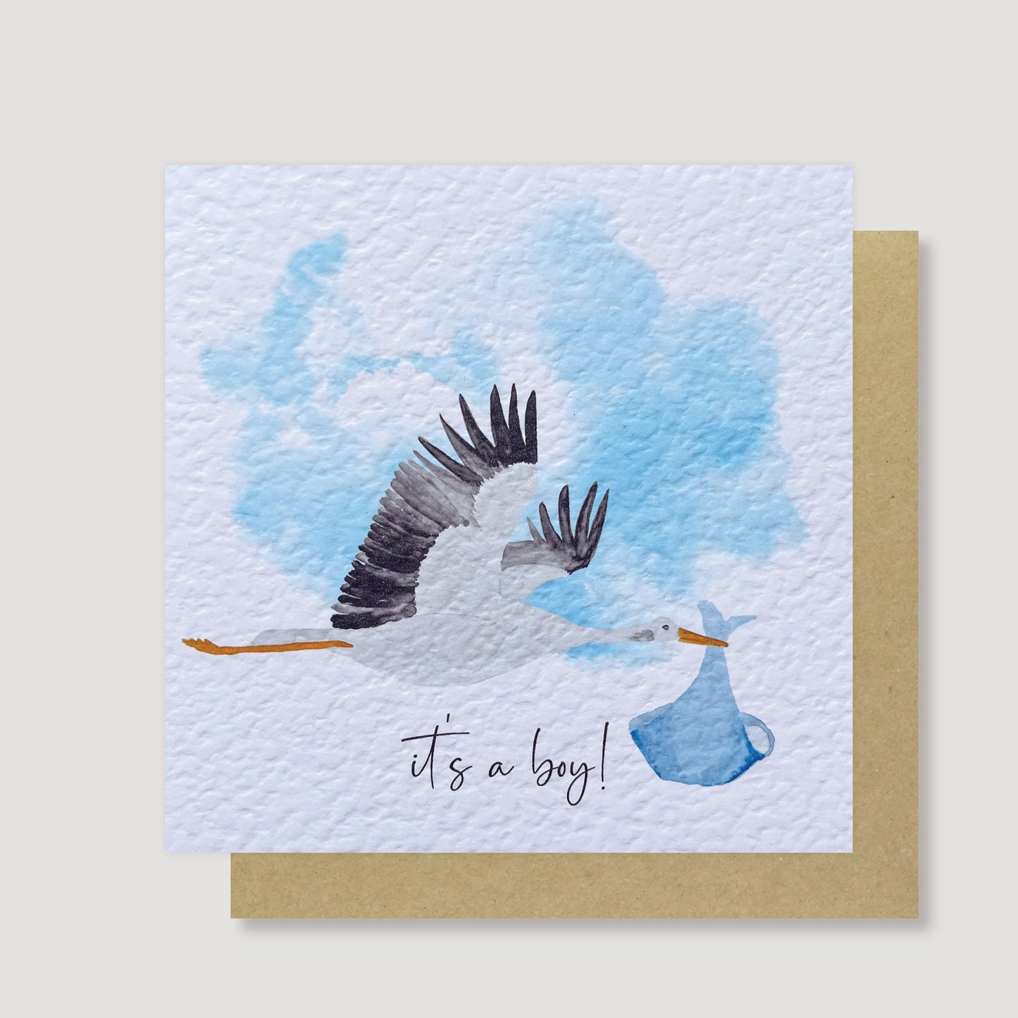 Stork baby boy card