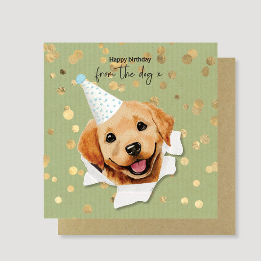 From the dog birthday card